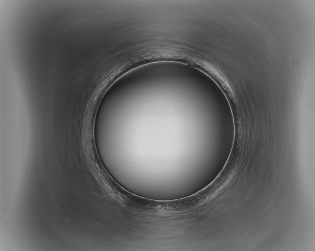 X0000115540481200911061503