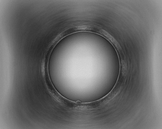 X0000115540482200911061503