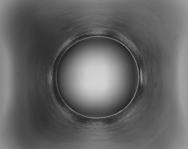 X0000115540483200911061503