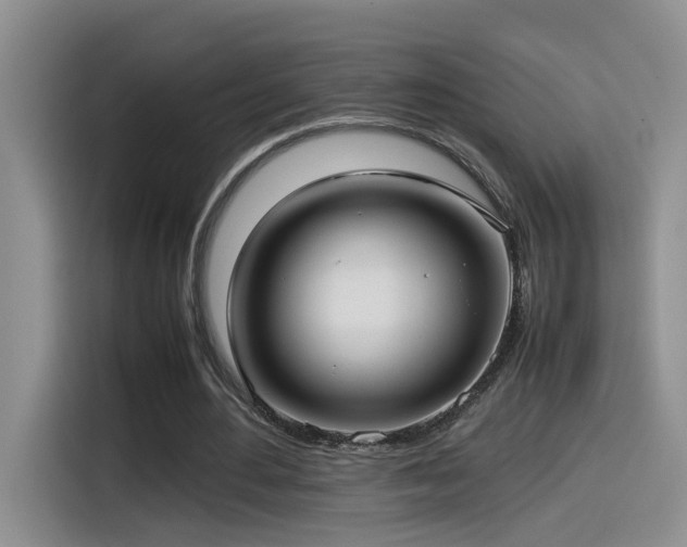 X0000115540484200911061503