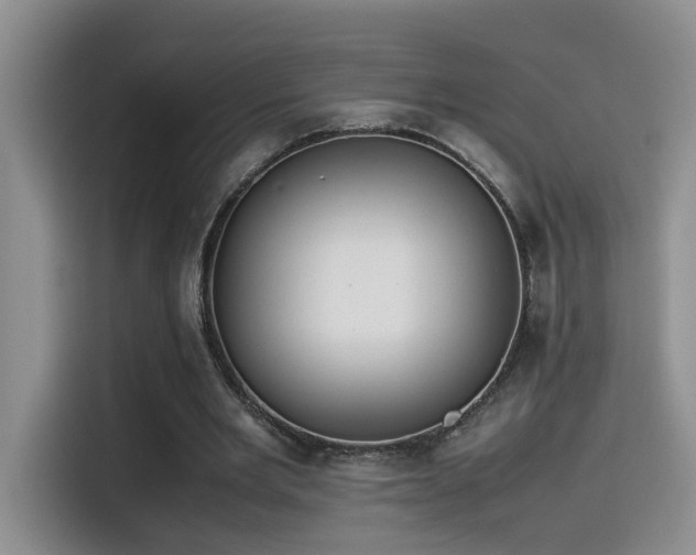 X0000115540485200911061503