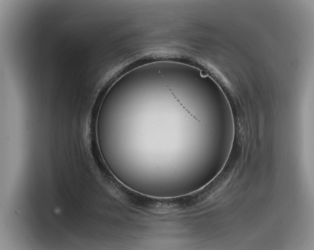 X0000115540487200911061503