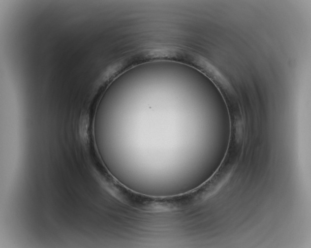 X0000115540490200911061503