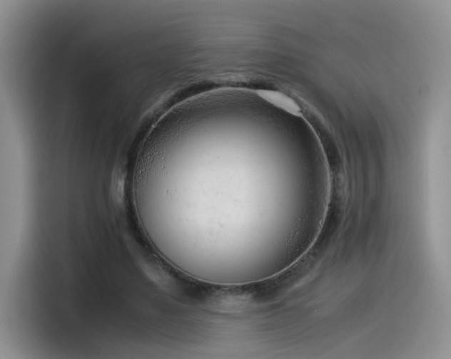 X0000115540491200911061503