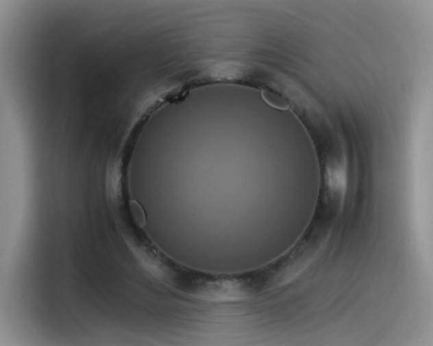 X0000115540492200911061503