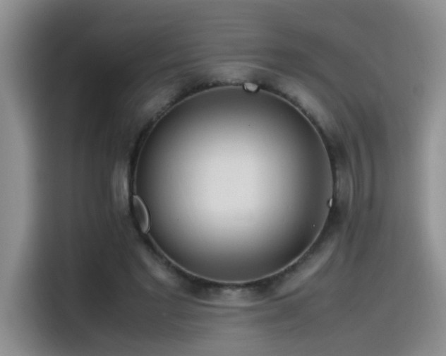 X0000115540493200911061503