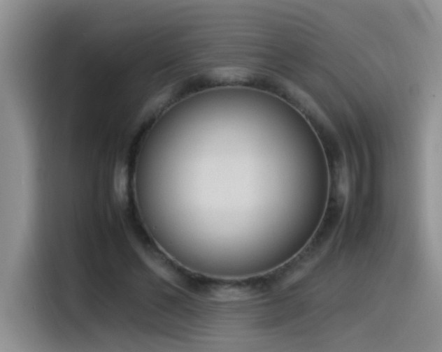 X0000115540494200911061503