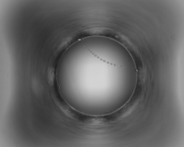 X0000115540495200911061503