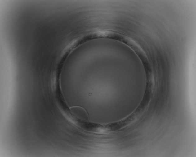 X0000115540496200911061503