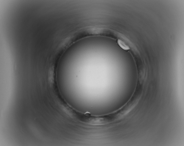 X0000115540497200911061503