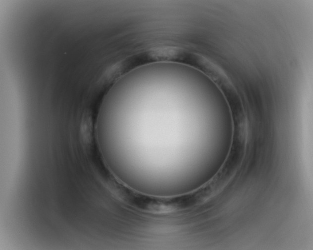 X0000115540498200911061503