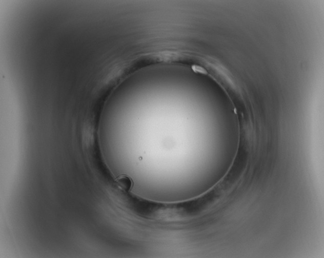 X0000115540499200911061503