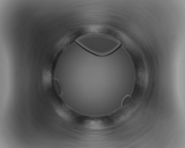 X0000115540500200911061503