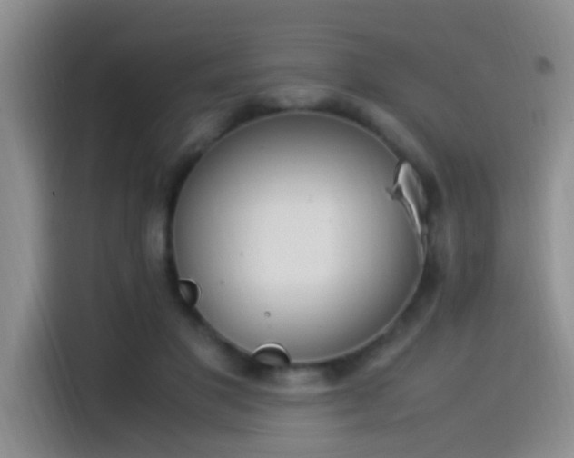 X0000115540501200911061503