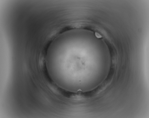 X0000115540503200911061503