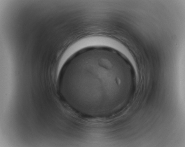 X0000115540504200911061503