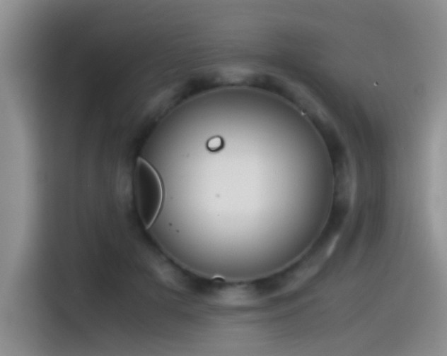 X0000115540505200911061503