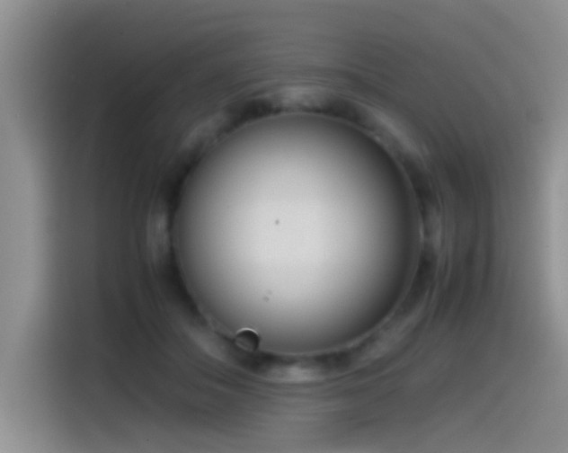 X0000115540506200911061503