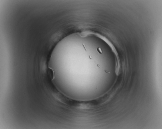 X0000115540508200911061503