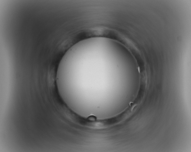 X0000115540509200911061503