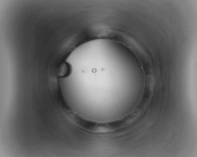 X0000115540510200911061503