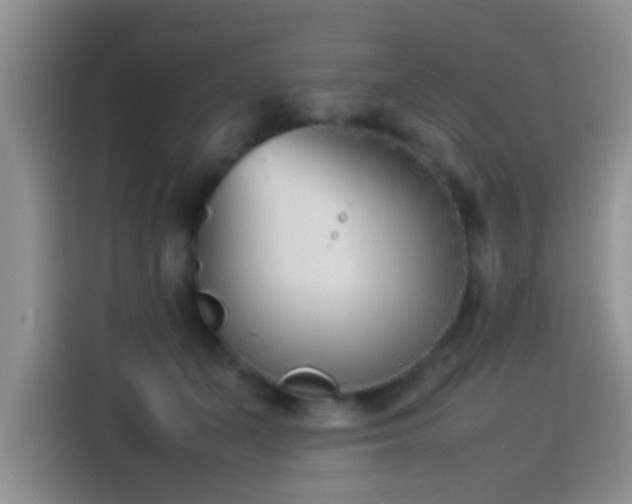 X0000115540511200911061503