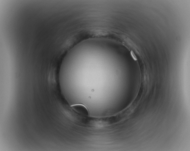 X0000115540512200911061503