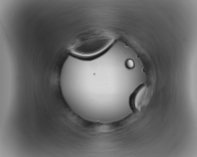 X0000115540513200911061503