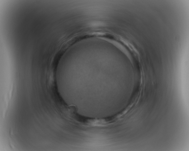 X0000115540517200911061503