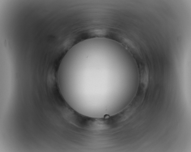 X0000115540518200911061503