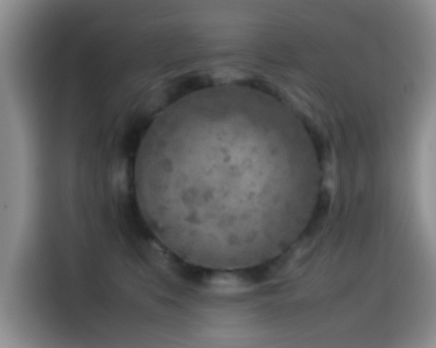 X0000115540519200911061503