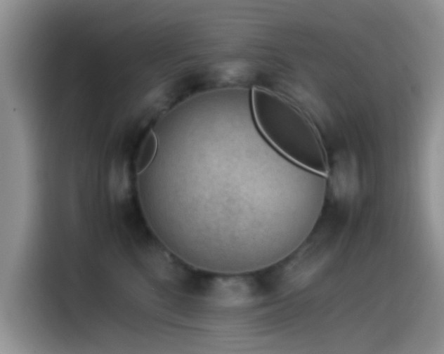 X0000115540520200911061503