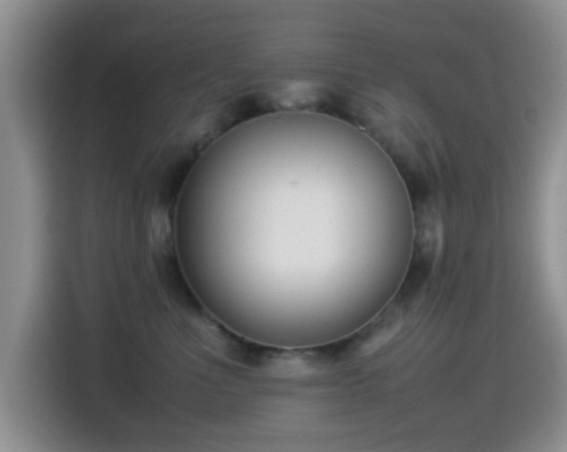 X0000115540523200911061503