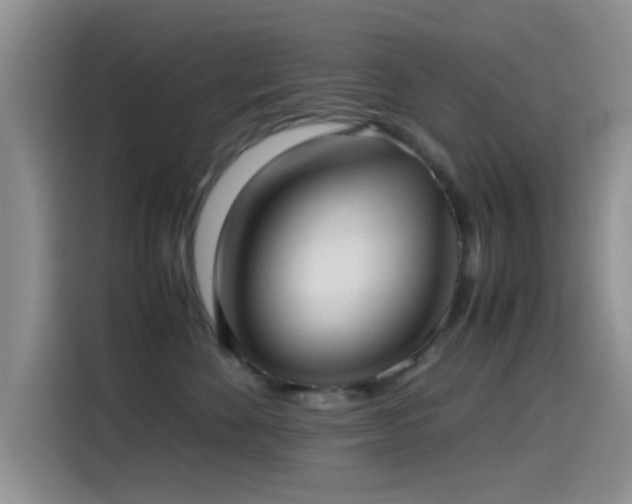 X0000115540524200911061503