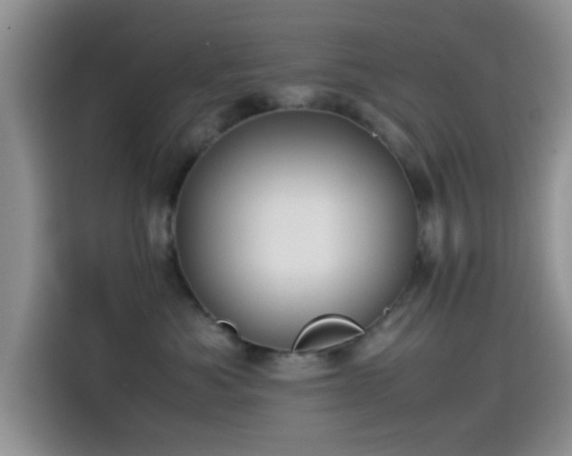 X0000115540525200911061503