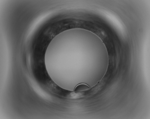 X0000115540526200911061502