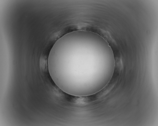 X0000115540527200911061502