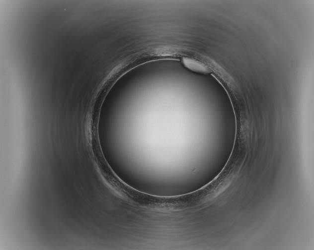 X0000115540530200911061502