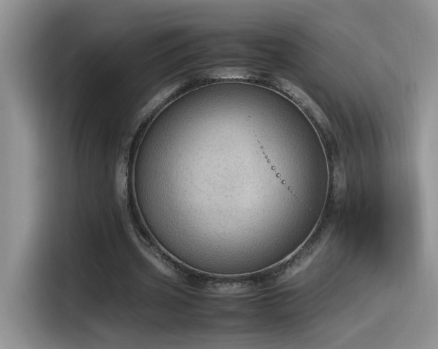 X0000115540533200911061502