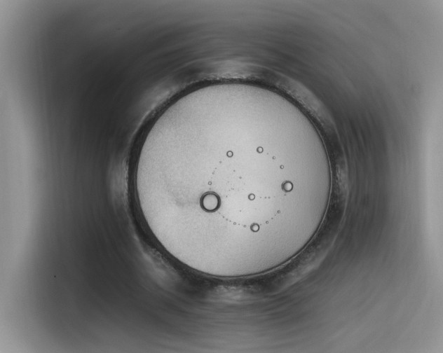 X0000115540534200911061502