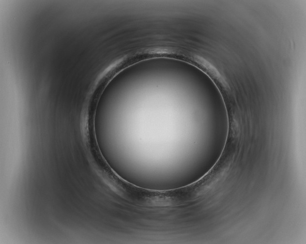 X0000115540535200911061502