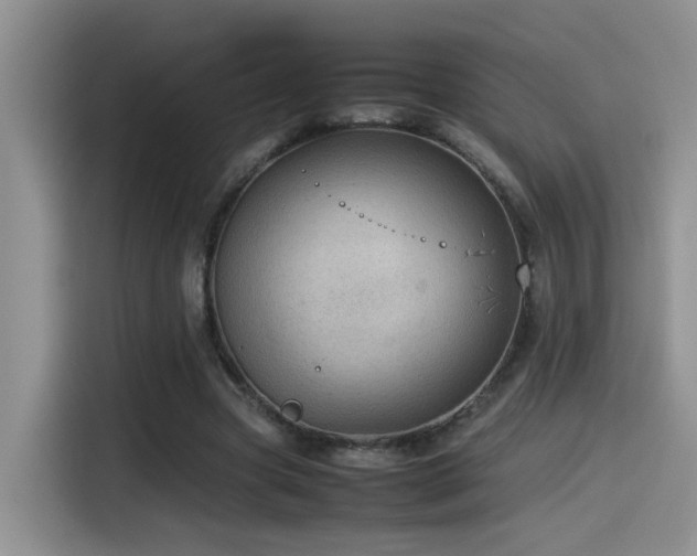 X0000115540537200911061502