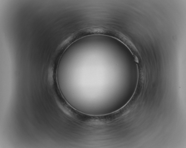 X0000115540538200911061502