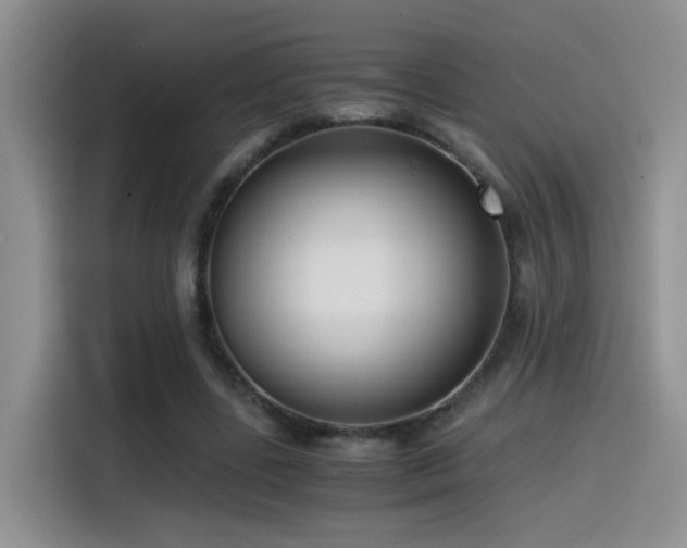 X0000115540539200911061502