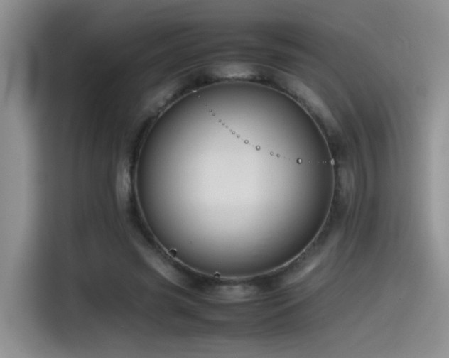 X0000115540541200911061502