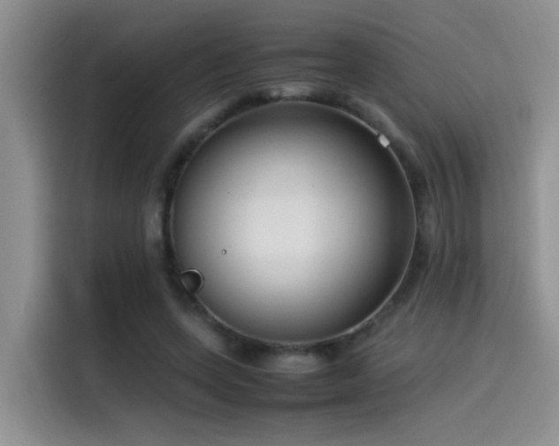 X0000115540543200911061502