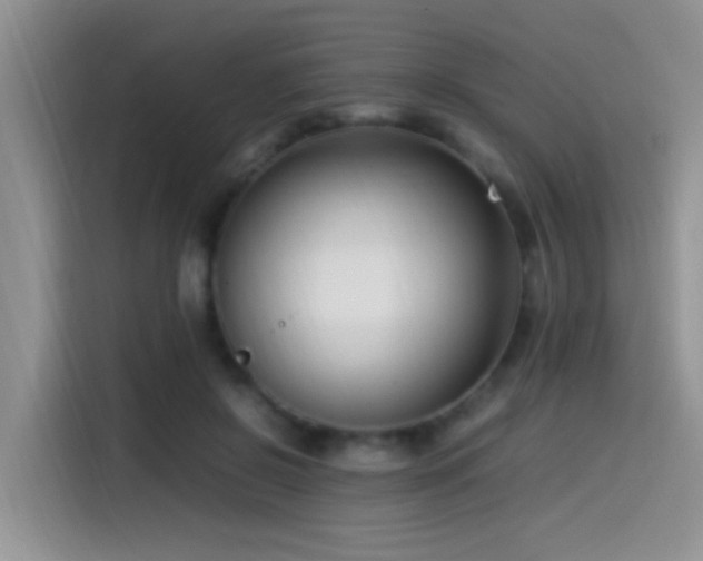 X0000115540550200911061502