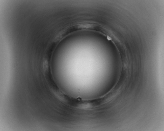 X0000115540551200911061502