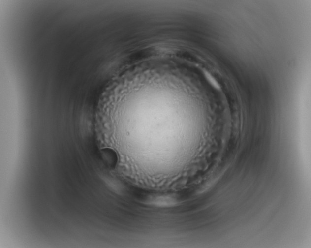 X0000115540553200911061502