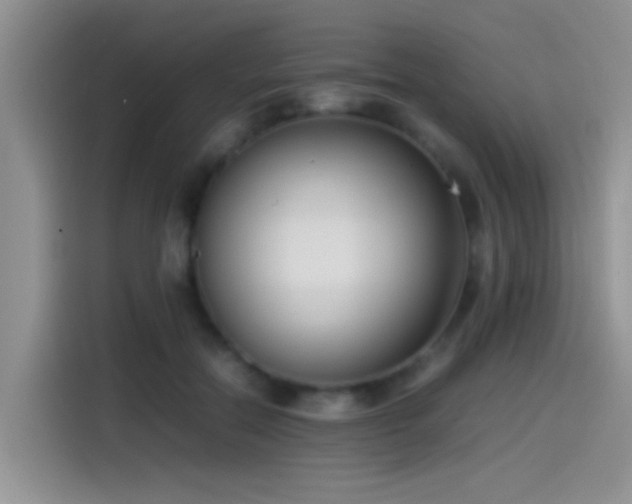 X0000115540554200911061502